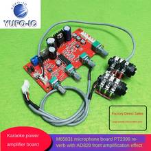 Free Ship 2pcs Karaoke Board Pt2399 Reverberation with Ad828 Front Amplification Effect Super NE5532 M65831 Microphone Board 2024 - buy cheap