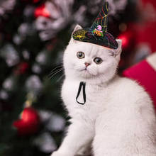 Engraçado animal de Estimação Bonito Traje Cosplay Estrela Morcego Abóbora Cap Chapéu de Bruxa Chapéu para o Gato Roupas de Festa de Halloween Fantasia Vestido de Outono inverno 2024 - compre barato