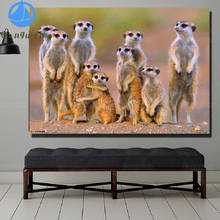 DIY Embroidery animal 5d diy diamond painting Meerkat painting art cross stitch full square rhinestones diamond mosaic picture 2024 - buy cheap