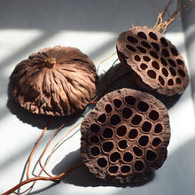 20pcs,Natural Dried Lotus Seedpod flower head,Eternal rose material for wedding party home decoration accessories,display flower 2024 - buy cheap