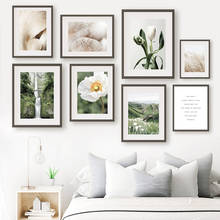 Pintura en lienzo para decoración de la sala de estar, póster nórdico de puente de cascada, tulipanes, cañas, flor blanca, seta, arte de pared 2024 - compra barato