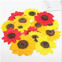 120pcs 4-7cm Pressed Dried Sunflower Flower Plant Herbarium For Jewelry Bookmark Phone Case Postcard Invitation Card DIY 2024 - buy cheap