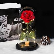 Regalo del Día de la madre, rosa de la bella y la Bestia en cúpula de cristal, decoración del hogar, luz nocturna, regalo romántico especial de San Valentín, regalo de cumpleaños 2024 - compra barato