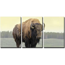 Triptych Prairie Bison,wild animals 5D Diy Diamond Painting Full Square Diamond Diamant Mosaic Pasted diamond embroidery WW244 2024 - buy cheap