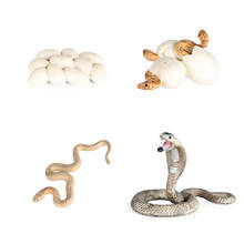 Modelo de Animal salvaje simulado para niños, reptil, Boa, Gargantilla, Cascabel, serpiente, biología, juguete para el crecimiento de la vida 2024 - compra barato
