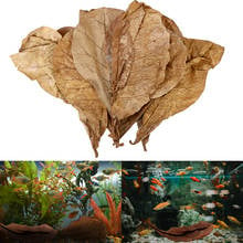 Fish Tank Cleaning Tools Natural Terminalia Catappa Leaves to Balance PH Acidity Aquarium Water Treatment Accessories 20PCS 2024 - buy cheap