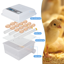 ЕС в американском стиле, имеется в наличии на складе инкубатор для яиц 16 яиц Digita мини Automatie Incubatores Тернер для яйцо инкубационное индейка и гусь перепелиное яйцо куриное яйцо инкубатор выводной шкаф яиц 2024 - купить недорого