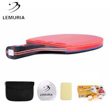 Lemuria Hybrid wood table tennis racket with 10 pcs DHS BI balls FL handle or CS handle ping pong bats with unsticky rubber 2024 - buy cheap