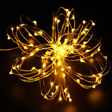 Новогоднее, рождественское, праздничное освещение, гирлянда, украшение, сказочные огни, гирлянда на батарейках, Gypsophila, гирлянда, Вечерние огни 2024 - купить недорого