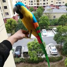 Grande 60cm realista brinquedo pássaro amarelo-verde papagaio modelo, espuma & penas papagaio artesanato, casa decoração do jardim, presente de natal p1801 2024 - compre barato