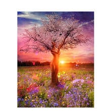 Pintura por números diy, quadro de beleza para decoração, decoração de casamento, arte, pintura por números, faça você mesmo 2024 - compre barato