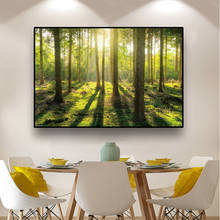 Sunshine Forest Landscape Wall Art Pictures Canvas Painting Scenery Poster and Prints for Living Room Modern Home Decoration 2024 - buy cheap