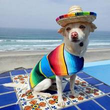 Cute Mini Puppy Dog Straw Woven Sun Hat Cap Mexican Sombrero Pet Supplies 2024 - buy cheap