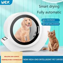 Automatic Pet Dryer Pet Drying Box Cat And Dog Water Blowing Machine Pet Cleaning Supplies 2024 - buy cheap