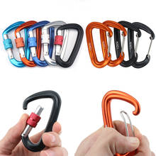 Professional Climbing Carabiner D Shape Mountaineering Buckle Hook 12KN Safety Lock Outdoor Climbing Equipment Accessory 2024 - buy cheap