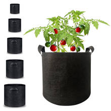 6 Sizes Garden Grow Bag Planters Black Plant Bags Thickening Fabric Growing Seedling Flower Pot Plant Pouches Root Container 2024 - buy cheap