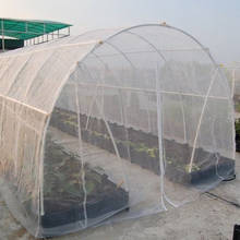 Greenhouse Protective Net Fruit Vegetables Care Cover Insect Netting Plant Covers Net Garden Pest Control Anti-bird Mesh Nets 2024 - buy cheap