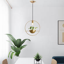 Modern Gold Single Ring Pendant Lights DIY Plant Led Hanging Lamp Dining Room Bedroom Study Home Decor Luminaire E27 2024 - buy cheap