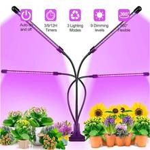 Lámpara Phyto USB LED para cultivo, fitolamp de espectro completo con Control para plántulas de plantas, flores, vegetales, caja de cultivo interior Fitolampy 2024 - compra barato