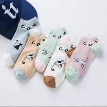 5 Pairs Women's Ankle Cotton Socks Funny Lovely Cat Cartoon Animals Pink Boat Socks Women Girl Art Short Sox 2024 - buy cheap
