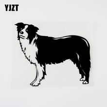 YJZT-pegatina de vinilo para coche de 13cm x 11,1 cm, Collie, borde encantador, perro, mascota, negro/plata, 8A-0543 2024 - compra barato