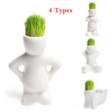 4 shape Choose DIY Mini Novel Bonsai Grass Doll Hair White Lazy Man Plant For Garden Planting Bonsais Gift Home Decoration 2024 - buy cheap