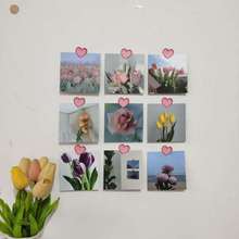 Cuadro decorativo de flor de planta Ins, póster de tulipán rosa de doble cara, tarjeta Diy, fondo, pegatina de pared, decoración de habitación, cuadrado, 9 hojas 2024 - compra barato