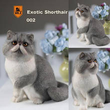 1/6 mr. z simulação animal gato gordo exótico shorthair animal de estimação gato modelo de brinquedo decoração para casa ornamento presente exibição 2024 - compre barato