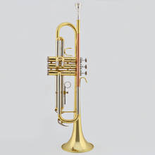 Bb profissional trompete avançado de alta qualidade b plana trompete trompete trompete trompete trompete trompete trompete trompete trompete trompete trompete trompete trompete 2024 - compre barato