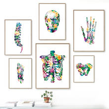 Cartazes e impressões de anatomia humana, órgão de flor verde, arte de parede, pintura em tela, imagem educacional médica para decoração clínica 2024 - compre barato