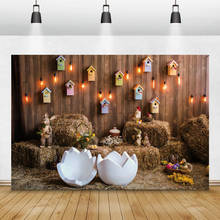 Laeacco luz de parede de madeira para casa de haylhe, casca quebrada, ovos de páscoa, coelho, fotografia, planos de fundo para estúdio de fotografia 2024 - compre barato