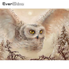 EverShine DIY Diamond Painting Full Square Owl Diamond Embroidery Animals Cross Stitch Rhinestones Art Decoration For Home 2024 - buy cheap