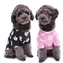 Casaco para cachorro de primavera e verão, roupas para cães pequenos com manga curta, camisa para base de cachorro de yorkshire, poodle 2024 - compre barato