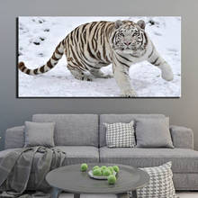 DIY 5D Full Diamond Painting Cross Stitch Painting White tiger Diamond Embroidery animal Needlework Patterns Rhinestone kits G30 2024 - buy cheap