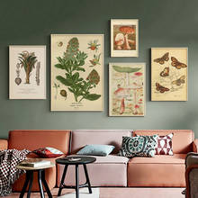 Borboleta vintage poster e impressões mignonette flor cogumelos botânico impressões educacionais quadros da arte da parede lona 2024 - compre barato