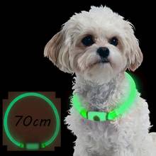 Usb зарядка ошейник для собак перезаряжаемый светодиодный светящийся ночной ошейник для собак светящийся безопасный ошейник для щенков и кошек с батареей 2024 - купить недорого