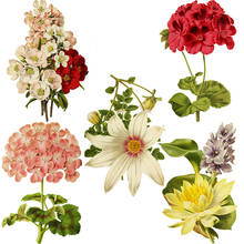 Three Ratels QCF21 Elegant small bouquet retro color flower art decoration kitchen restaurant decoration Decal girl sticker 2024 - buy cheap