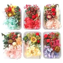 1 Box Dried Flowers UV Resin Decorative Natural Flower Stickers 3D Dry Beauty Decal Epoxy Mold DIY Filling Making Craft 2024 - buy cheap