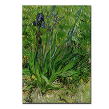 Vincent Van Gogh-pintura al óleo a mano para decoración del hogar, pintura al óleo impresiva, flor de Iris sin marco, arte sobre lienzo 2024 - compra barato