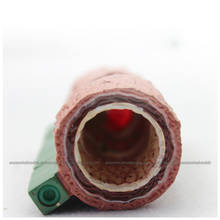 CMAM/12483 Heart-Arteriosclerosis, Human Heart Medical Teaching Anatomical Model 2024 - buy cheap