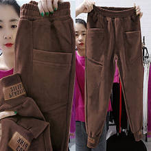 Plus Velvet/no Velvet Autumn and Winter Large Size Loose Thick Sports Pants Casual Harem Pants Legging Legging Pants Women 2024 - buy cheap