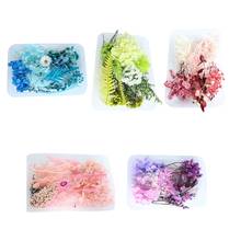 1 Box Crystal Epoxy Filler Dry Flower Mixed Nail Stickers Decorations Resin Filling Material Jewelry Making Accessories 2024 - buy cheap