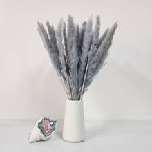 15Pcs Dried Small Pampas Grass Flowers Pantas Artificiales Para Decoracion Real Plants Home Decorflorist Supplies 2024 - buy cheap