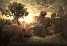 7x5ft сафари закат динозавр горы деревья темные облака пользовательские фото студия фон виниловый баннер 220 см x 150 см 2024 - купить недорого