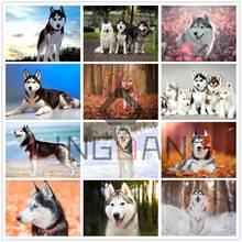 5d diy diamante bordado mosaico animal cachorro husky pintura de diamante completo quadrado broca redonda kit de ponto cruz decoração doméstica artesanal 2024 - compre barato