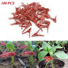 100pcs Plant Grafting Clip Garden Vegetable Flower Seedlings Stem Support Kits Plant Support Clips Greenhouse Clip Supplies 2024 - buy cheap