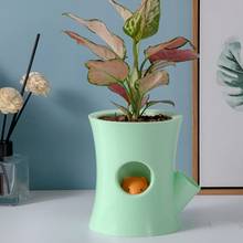 2PCS Creative Flower Pot Cartoon Self-Absorbent Plastic Flower Pot Lazy Auto Watering Flowerpot for Indoor Garden Plants