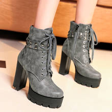 Autumn Winter Punk Gothic Rock Lace Up Block High Heels Platform Woman Shoes Black Rivets Strap Ankle Boots Plus Size 43 2024 - buy cheap