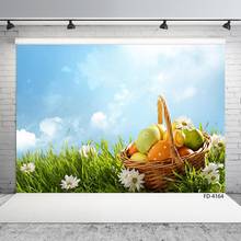 Easter Eggs Sunshine Spring Grass White Flower Photography Backgrounds Baby Shower Newborn Portrait Photo Backdrops Studio Props 2024 - buy cheap