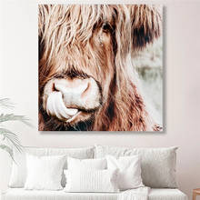 Quadros de arte de parede para sala de estar, pintura de tela de vaca altíssima, animais selvagens, decoração de casa, pôster de impressões 2024 - compre barato